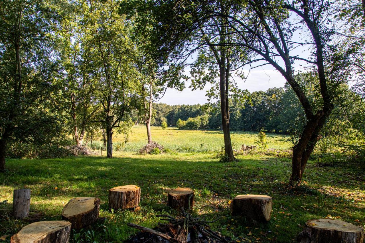 Apartmán Ferienhaus Mittelmuhle Teupitz Exteriér fotografie