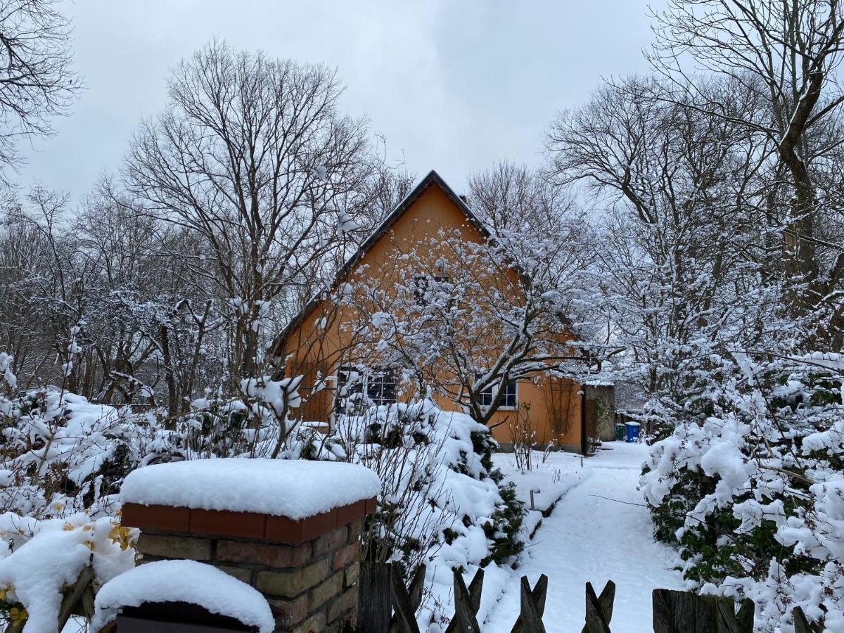 Apartmán Ferienhaus Mittelmuhle Teupitz Exteriér fotografie